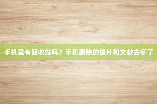手机里有回收站吗？手机删除的像片和文献去哪了